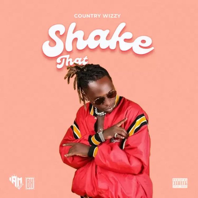 Country Wizzy – Shake That Ass