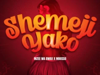Mbosso X Mzee wa Bwax – Shemeji Yako