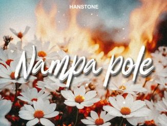 Hanstone – Nampa Pole