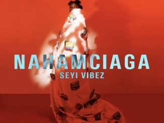 Seyi Vibez – Nahamciaga (EP)