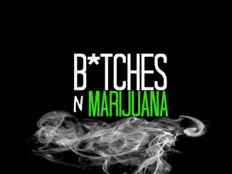 Chris Brown & Tyga - Bitches N Marijuana Ft. ScHoolboy Q