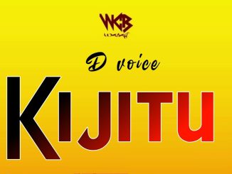 D Voice – Kijitu