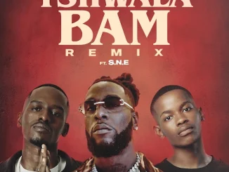 TitoM & Yuppe – Tshwala Bam (Remix) Ft. Burna Boy & S.N.E