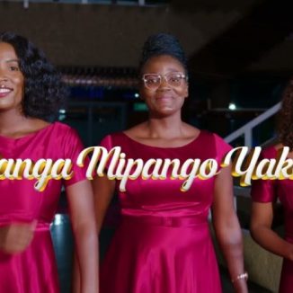 Msanii Music Group – Panga Mipango Yako