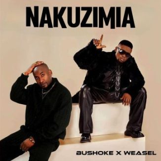 Bushoke - Nakuzimia Ft. Weasel