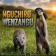 Free Da Truth - MZEE WA HOVYO