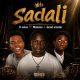 Good Master – Sadali Ft. D Voice & Malume
