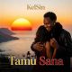 KelSin - Tamu Sana